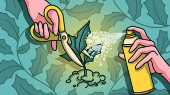 Hands using scissors to cut a holly branch while another hand sprays it with a can, surrounded by holly leaves.